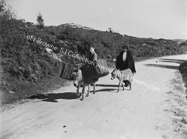 WAYFARERS DONKEY WITH PANNIERS